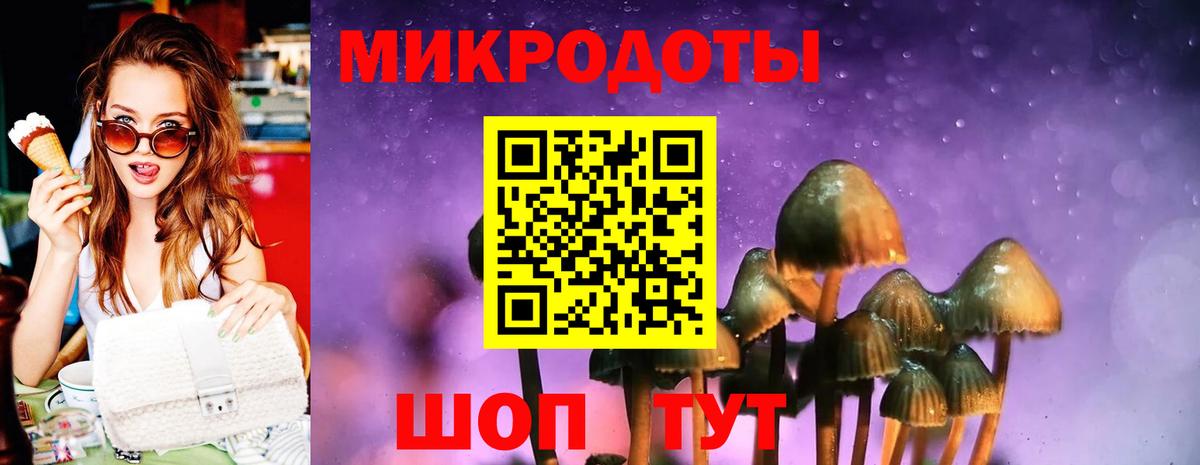 Псилоцибиновые грибы Psilocybe  Псилоцибиновые грибы Magic Shrooms  Вход с VPN  Ачхой-Мартан 